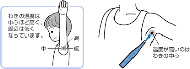 ①体温計の先は斜め下からわきに差し入れてわきの中心に当てる