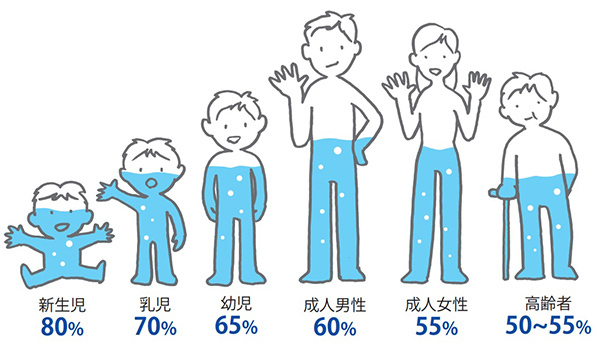 年齢別　体の水分量